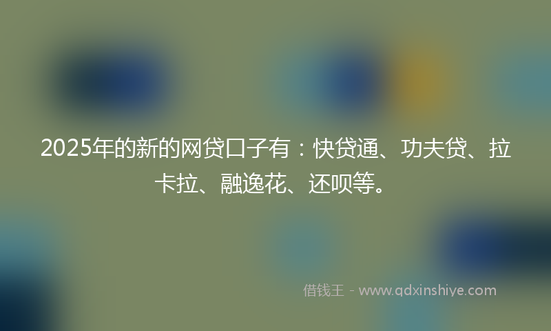 2025年的新的网贷口子有：快贷通、功夫贷、拉卡拉、融逸花、还呗等。