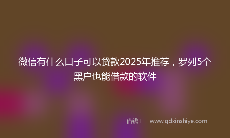 微信有什么口子可以贷款2025年推荐，罗列5个黑户也能借款的软件