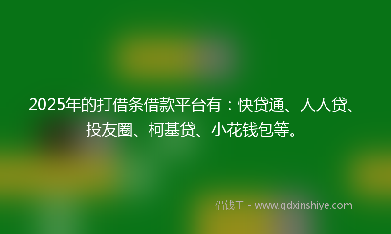 2025年的打借条借款平台有：快贷通、人人贷、投友圈、柯基贷、小花钱包等。