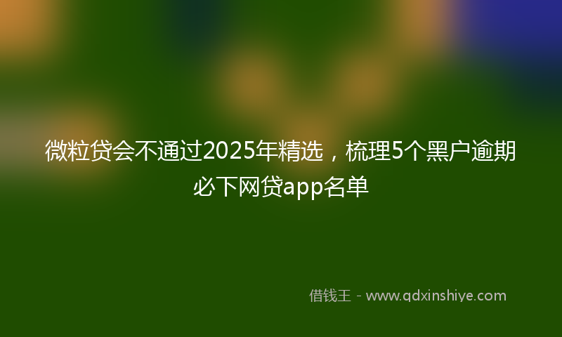 微粒贷会不通过2025年精选，梳理5个黑户逾期必下网贷app名单