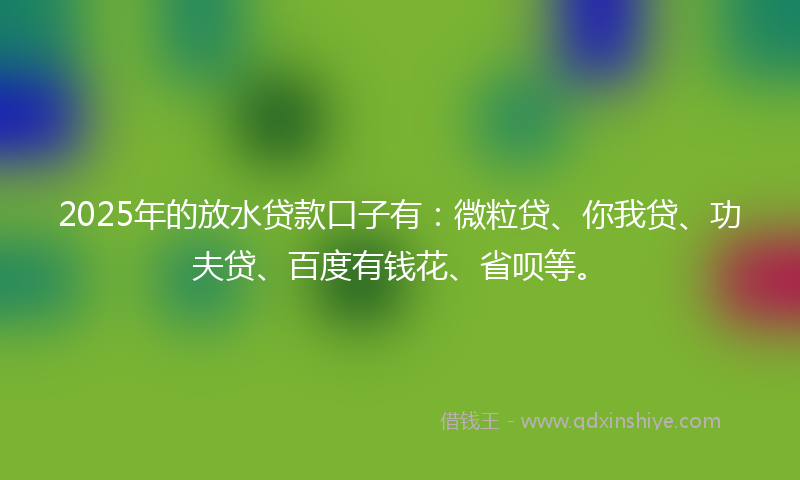 2025年的放水贷款口子有：微粒贷、你我贷、功夫贷、百度有钱花、省呗等。