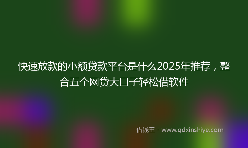 快速放款的小额贷款平台是什么2025年推荐，整合五个网贷大口子轻松借软件