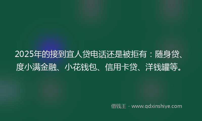 2025年的接到宜人贷电话还是被拒有：随身贷、度小满金融、小花钱包、信用卡贷、洋钱罐等。