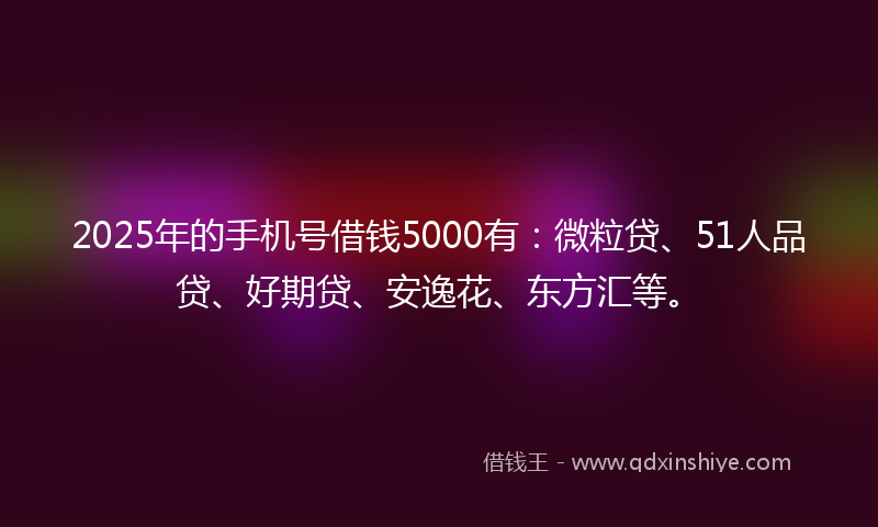2025年的手机号借钱5000有：微粒贷、51人品贷、好期贷、安逸花、东方汇等。