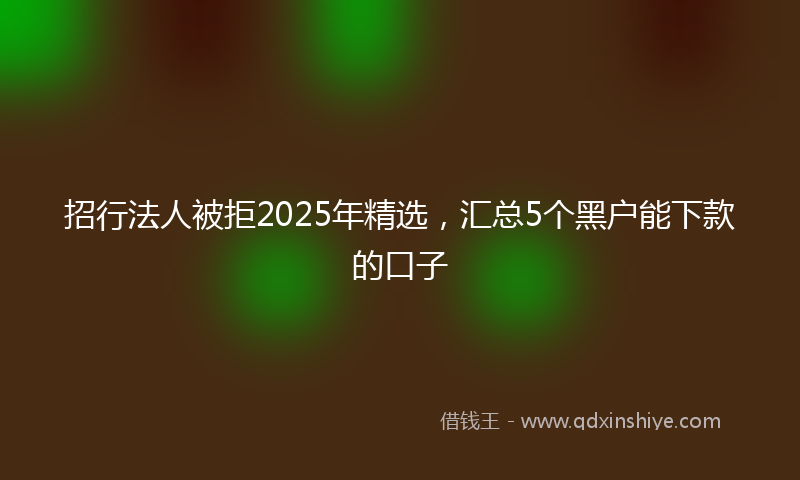 招行法人被拒2025年精选，汇总5个黑户能下款的口子