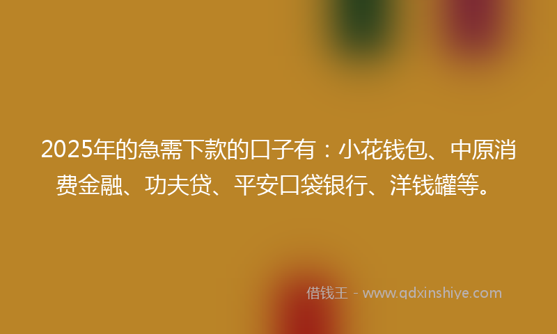 2025年的急需下款的口子有：小花钱包、中原消费金融、功夫贷、平安口袋银行、洋钱罐等。