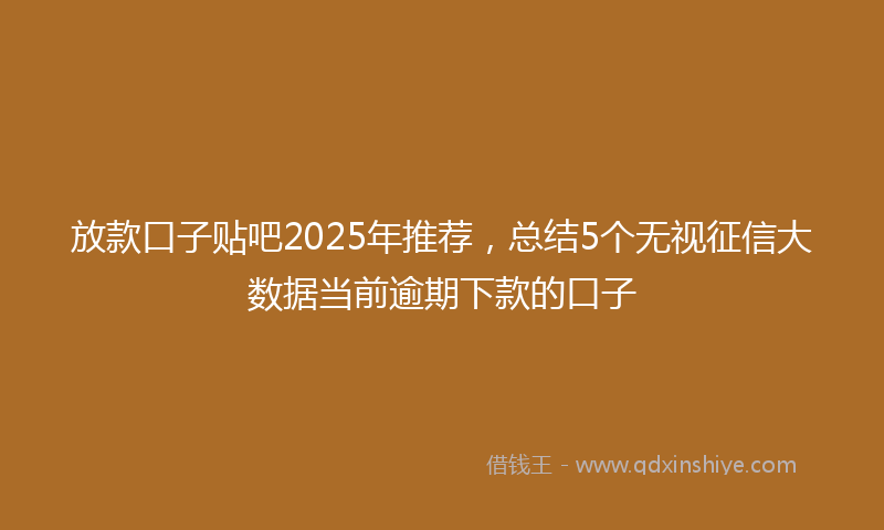 放款口子贴吧2025年推荐，总结5个无视征信大数据当前逾期下款的口子