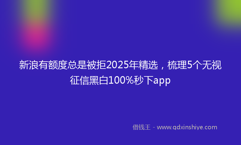 新浪有额度总是被拒2025年精选，梳理5个无视征信黑白100%秒下app