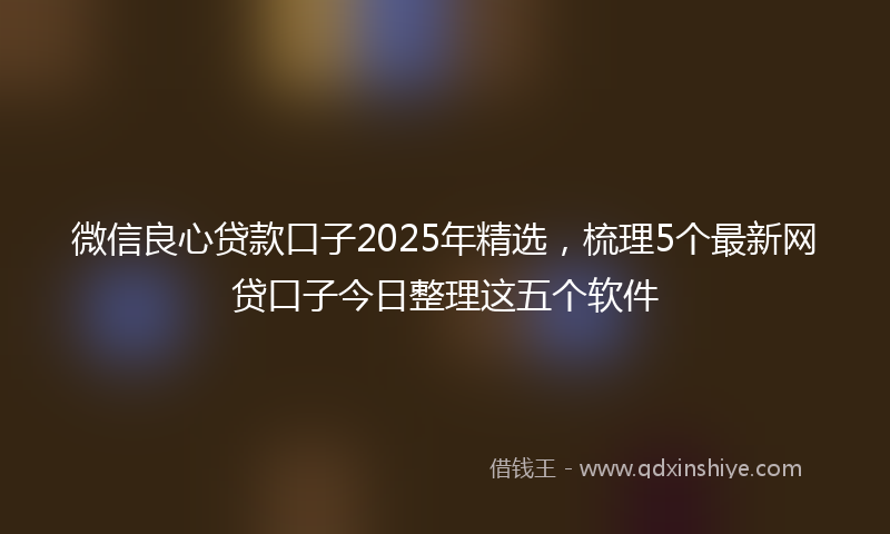 微信良心贷款口子2025年精选，梳理5个最新网贷口子今日整理这五个软件