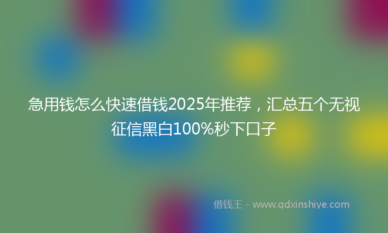 急用钱怎么快速借钱2025年推荐，汇总五个无视征信黑白100%秒下口子