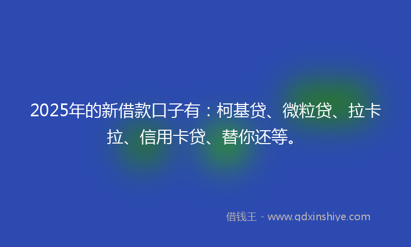 2025年的新借款口子有：柯基贷、微粒贷、拉卡拉、信用卡贷、替你还等。