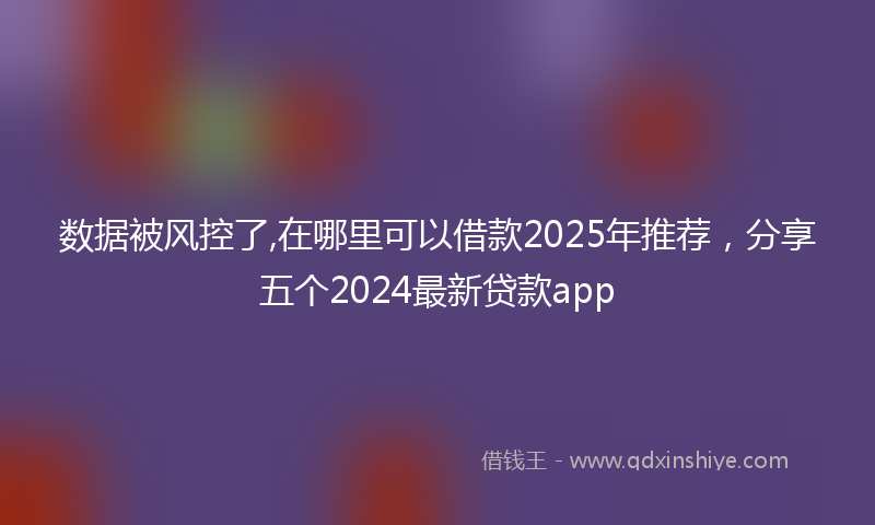 数据被风控了,在哪里可以借款2025年推荐，分享五个2024最新贷款app