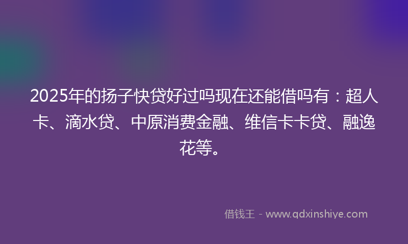 2025年的扬子快贷好过吗现在还能借吗有：超人卡、滴水贷、中原消费金融、维信卡卡贷、融逸花等。