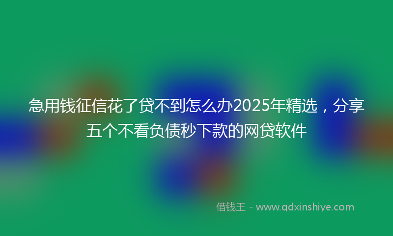 急用钱征信花了贷不到怎么办2025年精选，分享五个不看负债秒下款的网贷软件