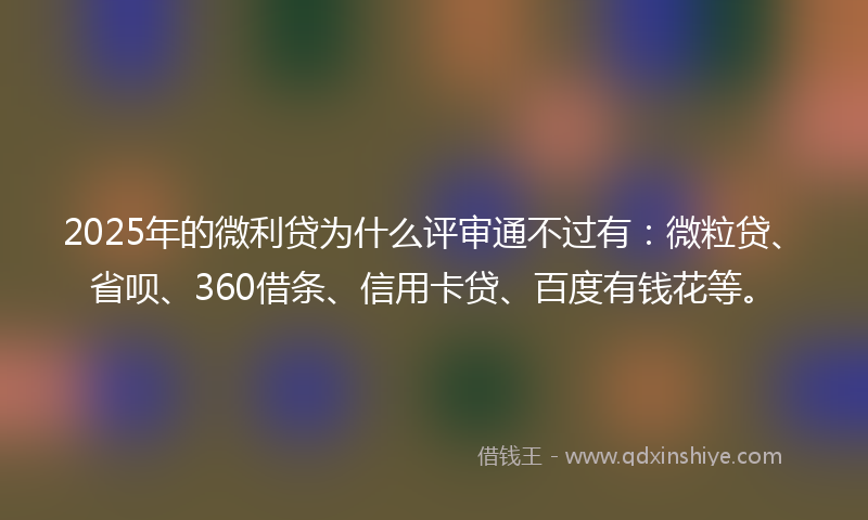 2025年的微利贷为什么评审通不过有：微粒贷、省呗、360借条、信用卡贷、百度有钱花等。