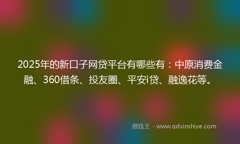 2025年的新口子网贷平台有哪些有：中原消费金融、360借条、投友圈、平安i贷、融逸花等。