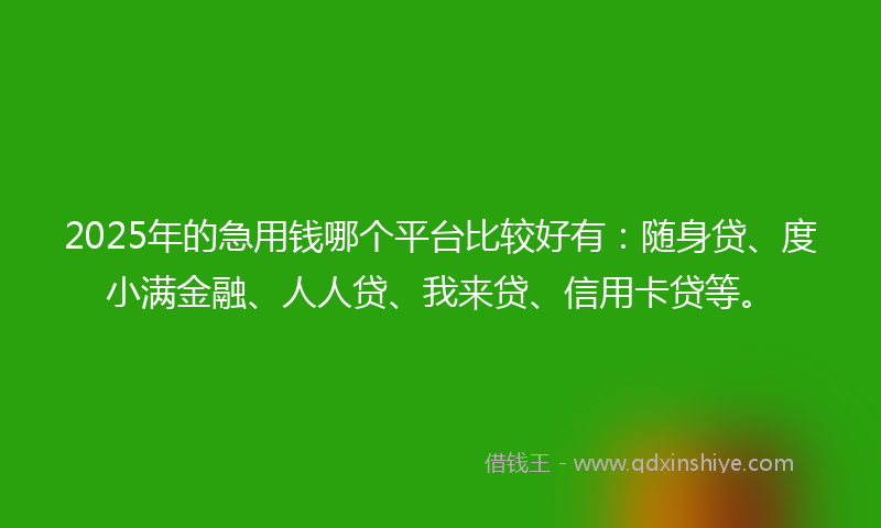 2025年的急用钱哪个平台比较好有：随身贷、度小满金融、人人贷、我来贷、信用卡贷等。