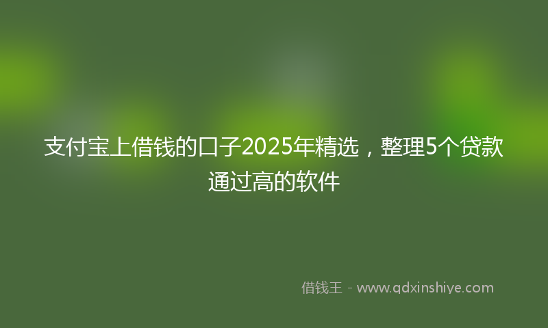 支付宝上借钱的口子2025年精选，整理5个贷款通过高的软件