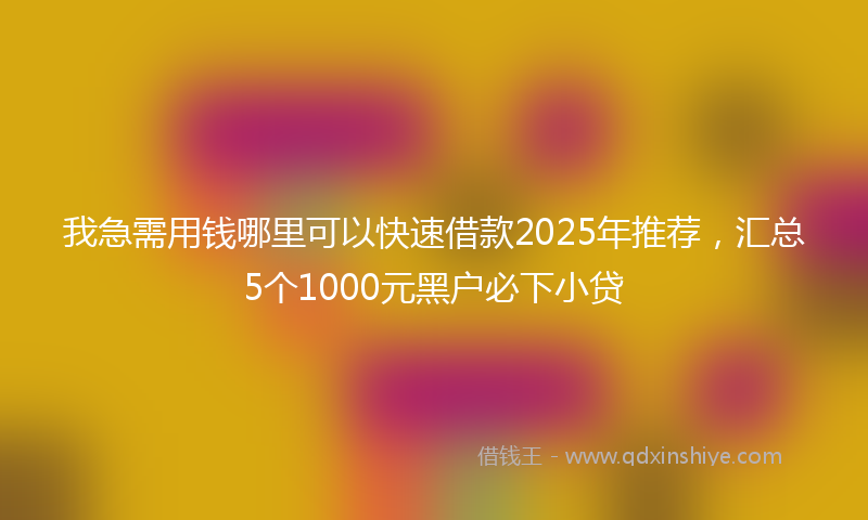我急需用钱哪里可以快速借款2025年推荐，汇总5个1000元黑户必下小贷