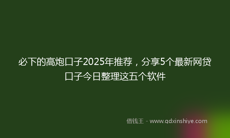必下的高炮口子2025年推荐，分享5个最新网贷口子今日整理这五个软件