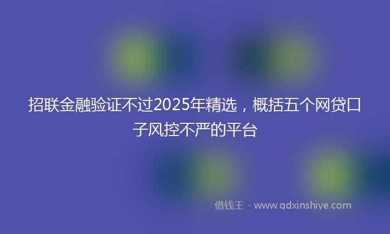 招联金融验证不过2025年精选，概括五个网贷口子风控不严的平台