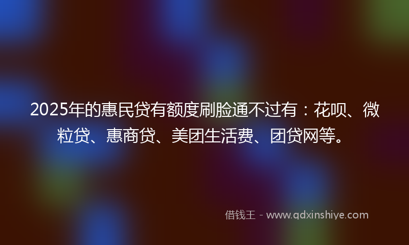 2025年的惠民贷有额度刷脸通不过有：花呗、微粒贷、惠商贷、美团生活费、团贷网等。