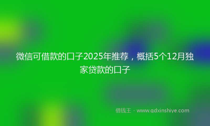 微信可借款的口子2025年推荐，概括5个12月独家贷款的口子