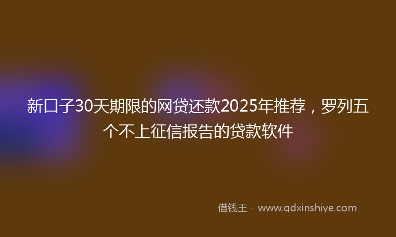 新口子30天期限的网贷还款2025年推荐，罗列五个不上征信报告的贷款软件