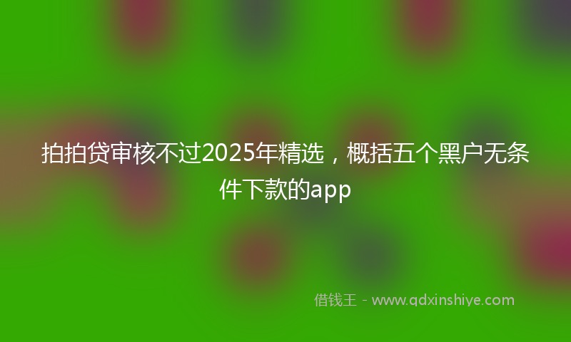 拍拍贷审核不过2025年精选，概括五个黑户无条件下款的app