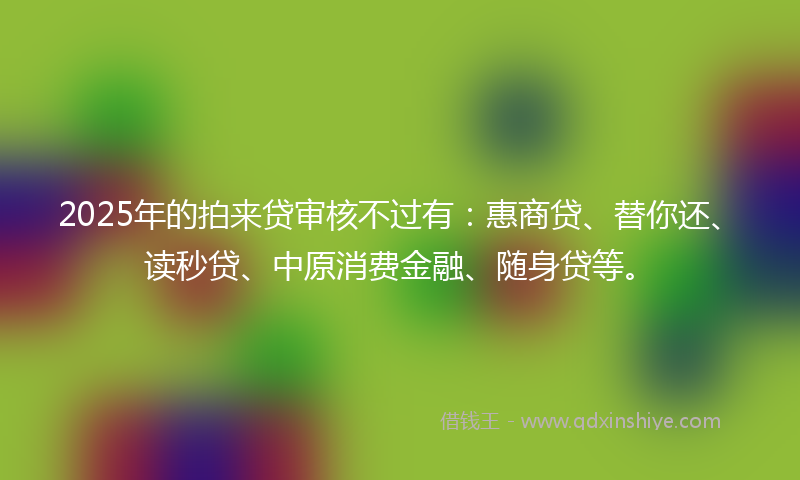 2025年的拍来贷审核不过有：惠商贷、替你还、读秒贷、中原消费金融、随身贷等。