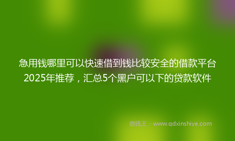 急用钱哪里可以快速借到钱比较安全的借款平台2025年推荐，汇总5个黑户可以下的贷款软件