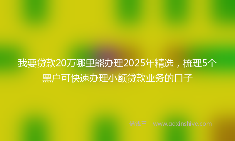 我要贷款20万哪里能办理2025年精选，梳理5个黑户可快速办理小额贷款业务的口子