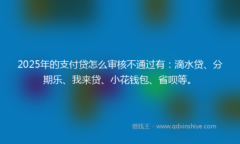 2025年的支付贷怎么审核不通过有：滴水贷、分期乐、我来贷、小花钱包、省呗等。