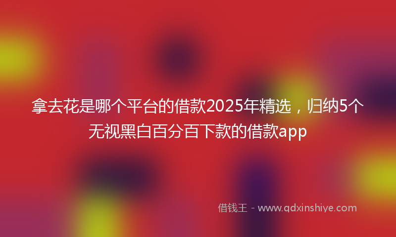 拿去花是哪个平台的借款2025年精选，归纳5个无视黑白百分百下款的借款app