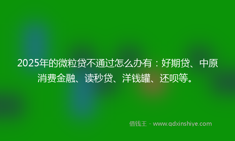 2025年的微粒贷不通过怎么办有：好期贷、中原消费金融、读秒贷、洋钱罐、还呗等。
