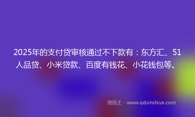 2025年的支付贷审核通过不下款有：东方汇、51人品贷、小米贷款、百度有钱花、小花钱包等。