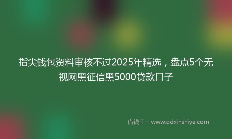 指尖钱包资料审核不过2025年精选，盘点5个无视网黑征信黑5000贷款口子