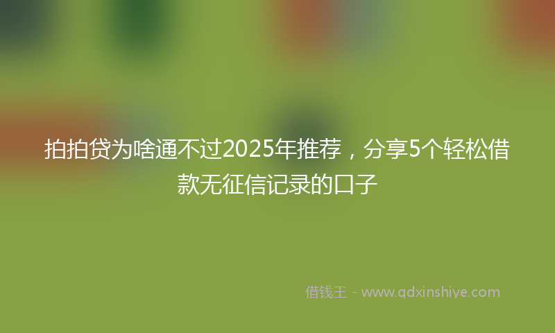 拍拍贷为啥通不过2025年推荐，分享5个轻松借款无征信记录的口子