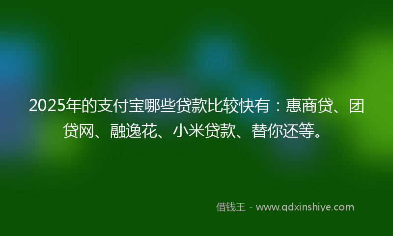 2025年的支付宝哪些贷款比较快有：惠商贷、团贷网、融逸花、小米贷款、替你还等。