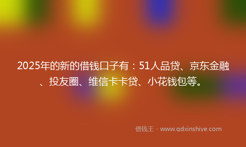 2025年的新的借钱口子有：51人品贷、京东金融、投友圈、维信卡卡贷、小花钱包等。