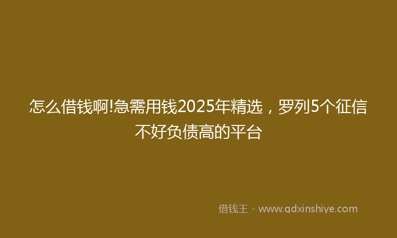 怎么借钱啊!急需用钱2025年精选，罗列5个征信不好负债高的平台