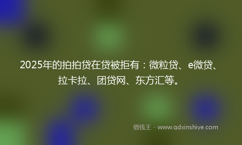2025年的拍拍贷在贷被拒有：微粒贷、e微贷、拉卡拉、团贷网、东方汇等。