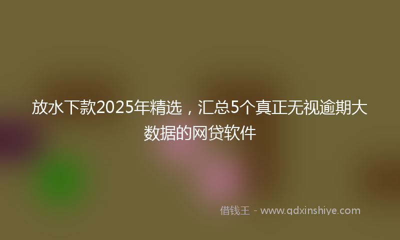 放水下款2025年精选，汇总5个真正无视逾期大数据的网贷软件