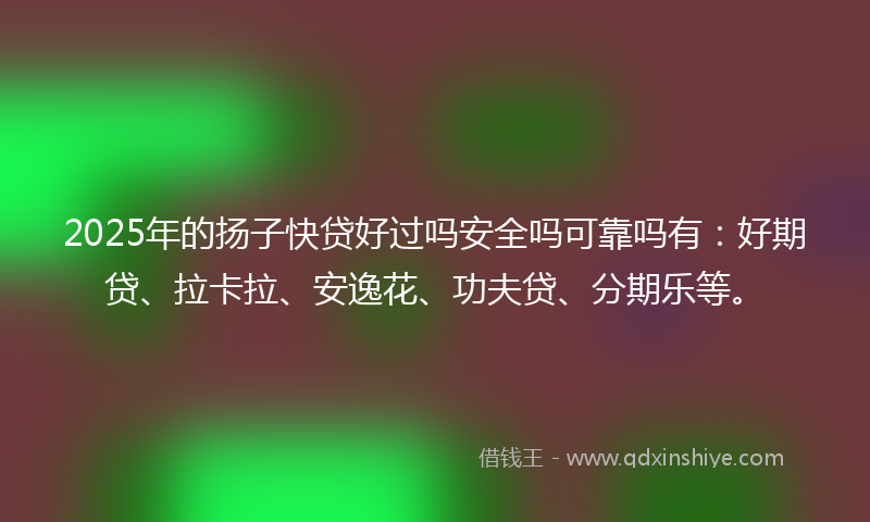 2025年的扬子快贷好过吗安全吗可靠吗有：好期贷、拉卡拉、安逸花、功夫贷、分期乐等。