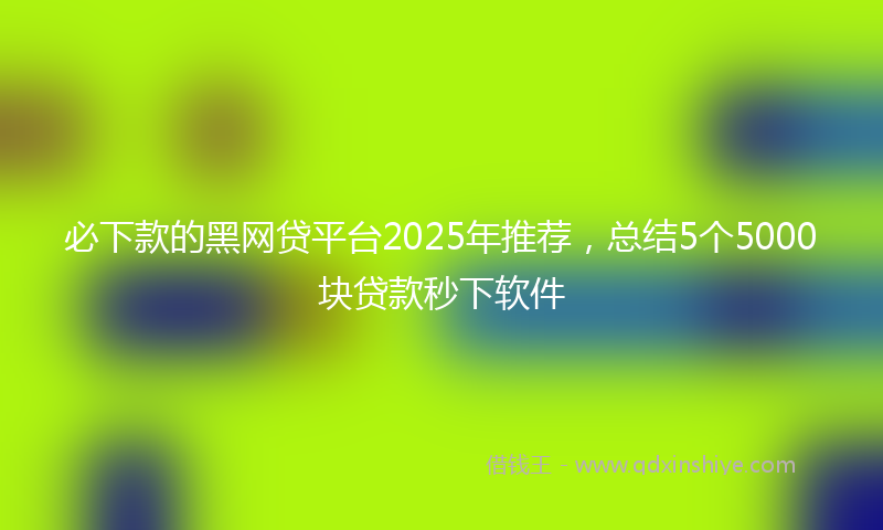 必下款的黑网贷平台2025年推荐，总结5个5000块贷款秒下软件