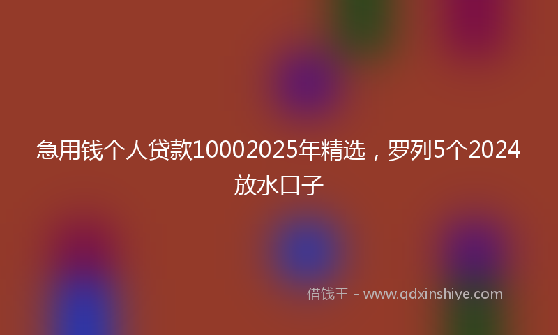 急用钱个人贷款10002025年精选，罗列5个2024放水口子