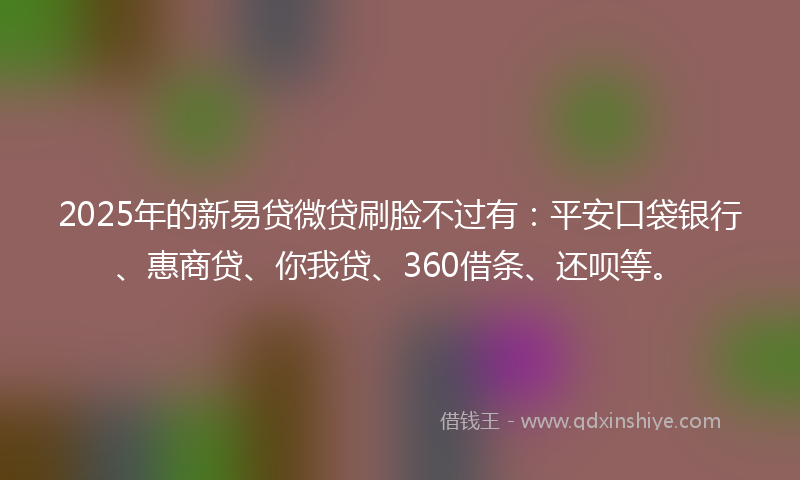 2025年的新易贷微贷刷脸不过有：平安口袋银行、惠商贷、你我贷、360借条、还呗等。