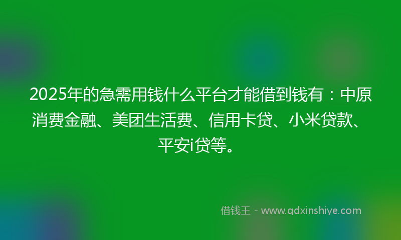 2025年的急需用钱什么平台才能借到钱有：中原消费金融、美团生活费、信用卡贷、小米贷款、平安i贷等。