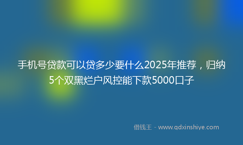 手机号贷款可以贷多少要什么2025年推荐，归纳5个双黑烂户风控能下款5000口子