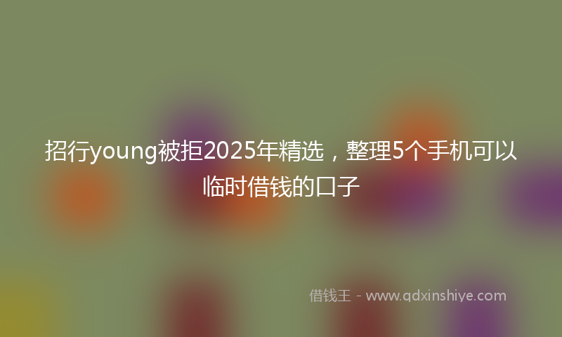 招行young被拒2025年精选，整理5个手机可以临时借钱的口子